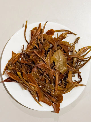 White Tea | Ruby White Tea (TTES no. 18) 1st Grade 紅玉白茶 - YUMM CHA