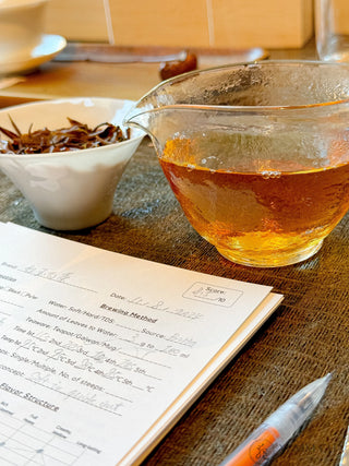 White Tea | Ruby White Tea (TTES no. 18) 1st Grade 紅玉白茶 - YUMM CHA