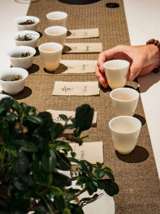 Wild Tea Tasting | "Chan" & “Cha” 禅茶体验 - YUMM CHA
