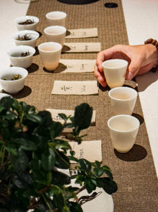 Wild Tea Tasting | "Chan" & “Cha” 禅茶体验 - YUMM CHA