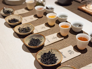 Wild Tea Tasting | "Chan" & “Cha” 禅茶体验 - YUMM CHA