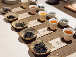Wild Tea Tasting | "Chan" & “Cha” 禅茶体验 - YUMM CHA