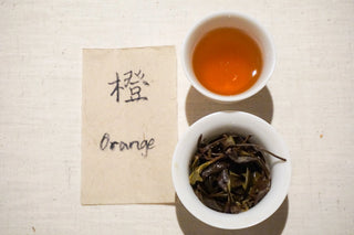 Wild Tea Tasting | "Chan" & “Cha” 禅茶体验 - YUMM CHA