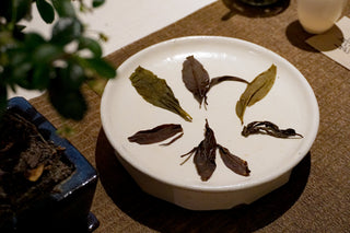 Wild Tea Tasting | "Chan" & “Cha” 禅茶体验 - YUMM CHA