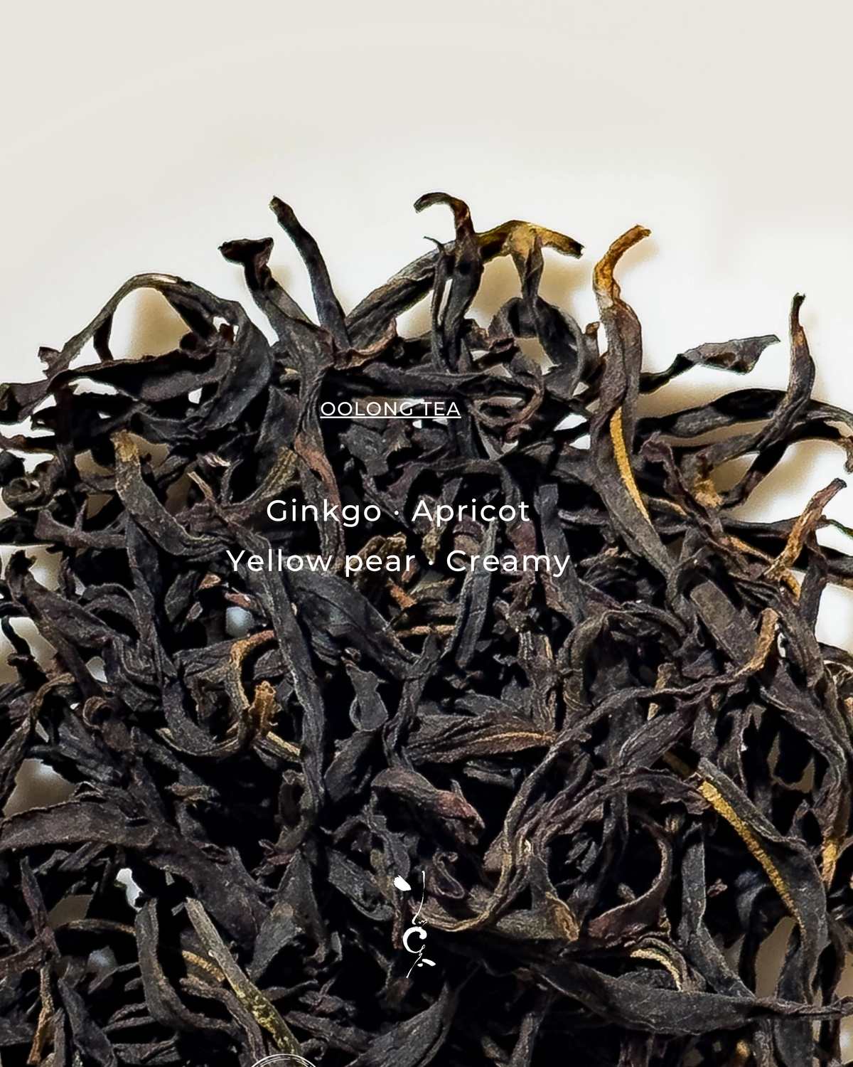Dancong Oolong | Award-Winning Danzhu Ju Duo Zai 獲獎鋸朵仔 — tea sample