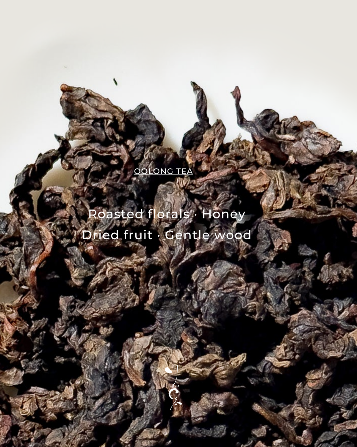 Aged Oolong Tea | Award Anxi Charcoal-Roasted Tie Guan Yin 2011 — tea sample