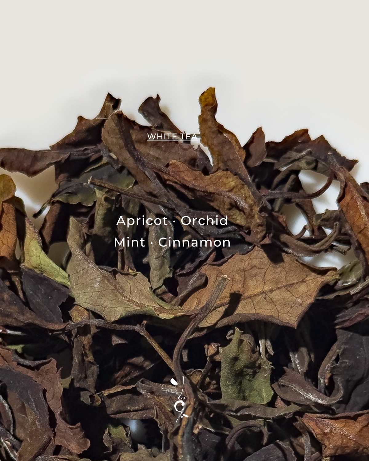 White Tea | Ruby White Tea (TTES no. 18) 1st Grade 紅玉白茶 — tea sample