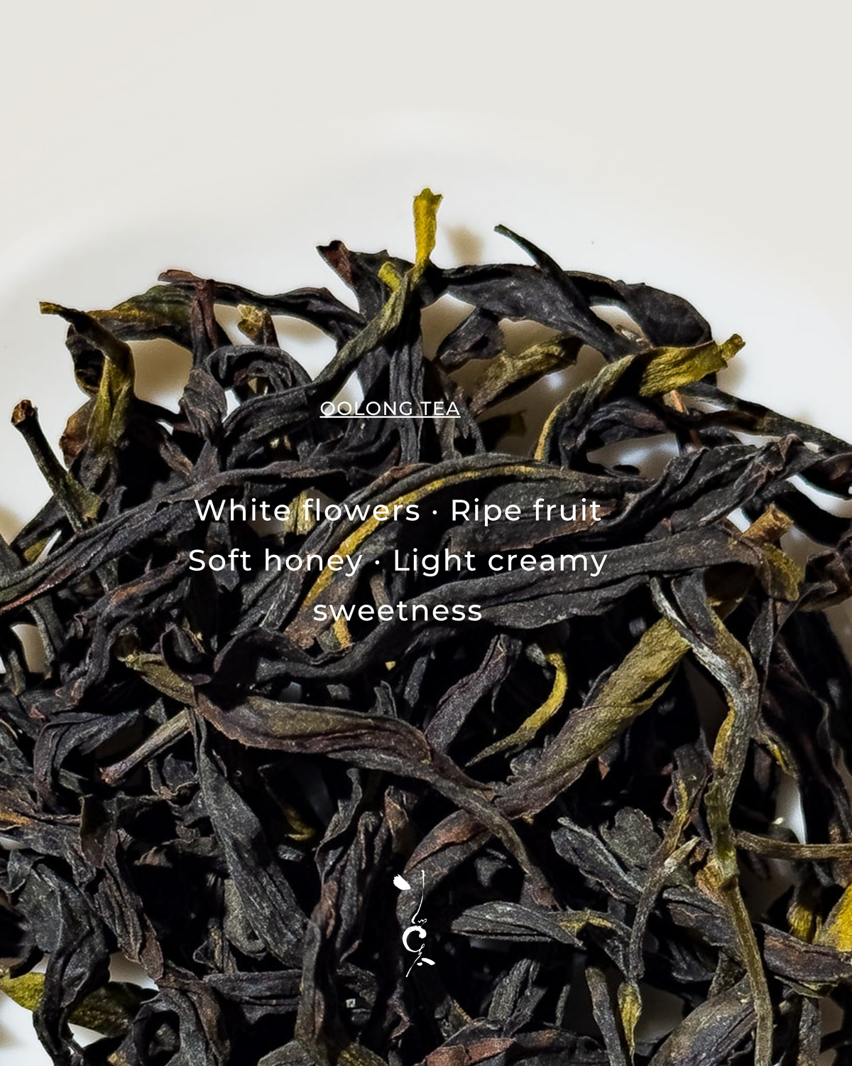 Dancong Oolong | Sixth Snow 六雪大烏葉 2026 New Harvest — tea sample