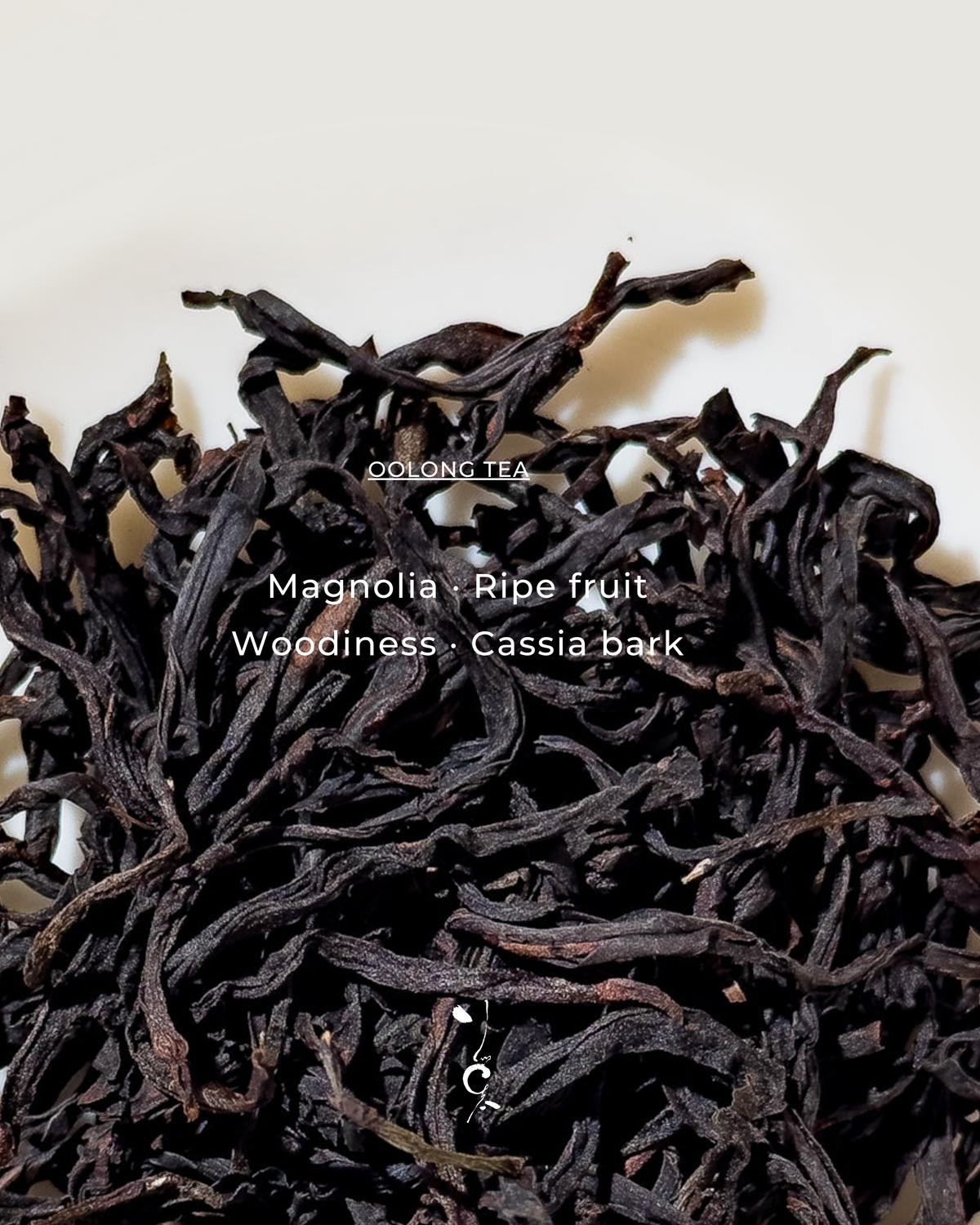 Dancong Oolong | 50-Year-Old Bush Charcoal Roasting Nightshade Leaf 炭焙老欉山茄葉 — tea sample
